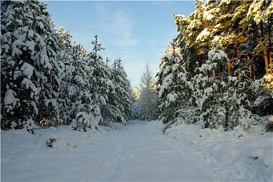 《火炬之光：无限》国服今日公测 快来体验吧